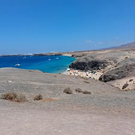 Oasis *